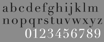 bodoni vs didot typeface