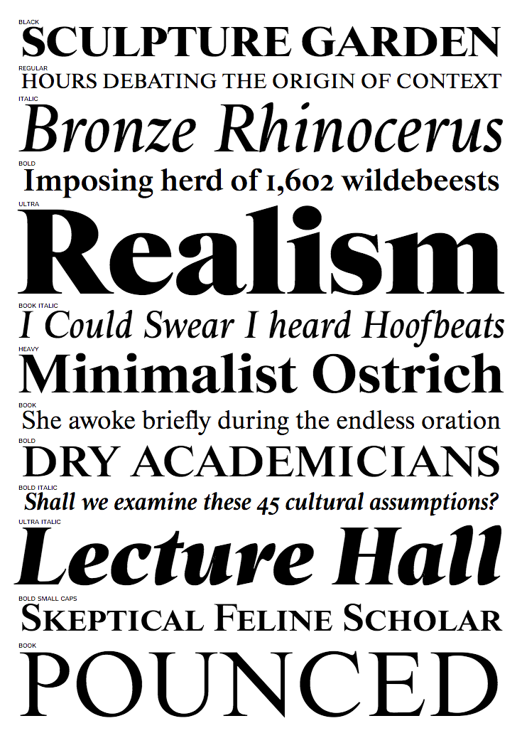 Times Roman Font