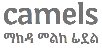 amharic fonts for windows 10