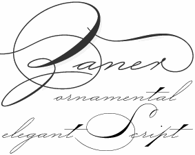 Calligraphy Blog Create Your Own Copperplate Flourishing Illustration With  Uliana Popa