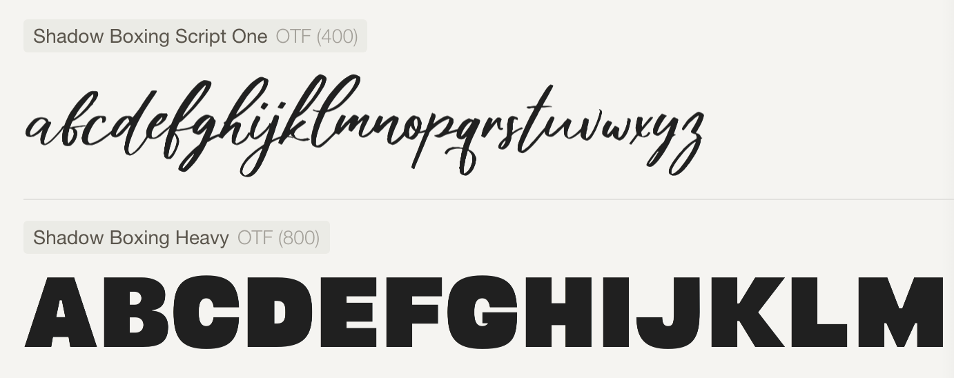 Shadow Boxing Script One otf (400) Font - What Font Is